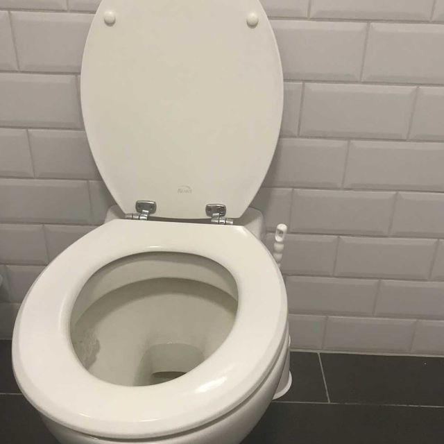 New Toilet Installed